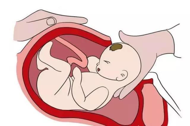 153674869001882ec028abb_noop.jpg 153674869001882ec028abb_noop.jpg