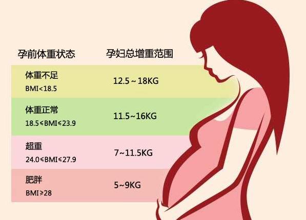 c9fcc3cec3fdfc03b204c8f17d6f629ca5c226d7.jpeg c9fcc3cec3fdfc03b204c8f17d6f629ca5c226d7.jpeg